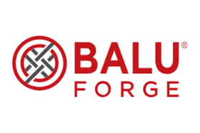 Balu Forge Industries Ltd